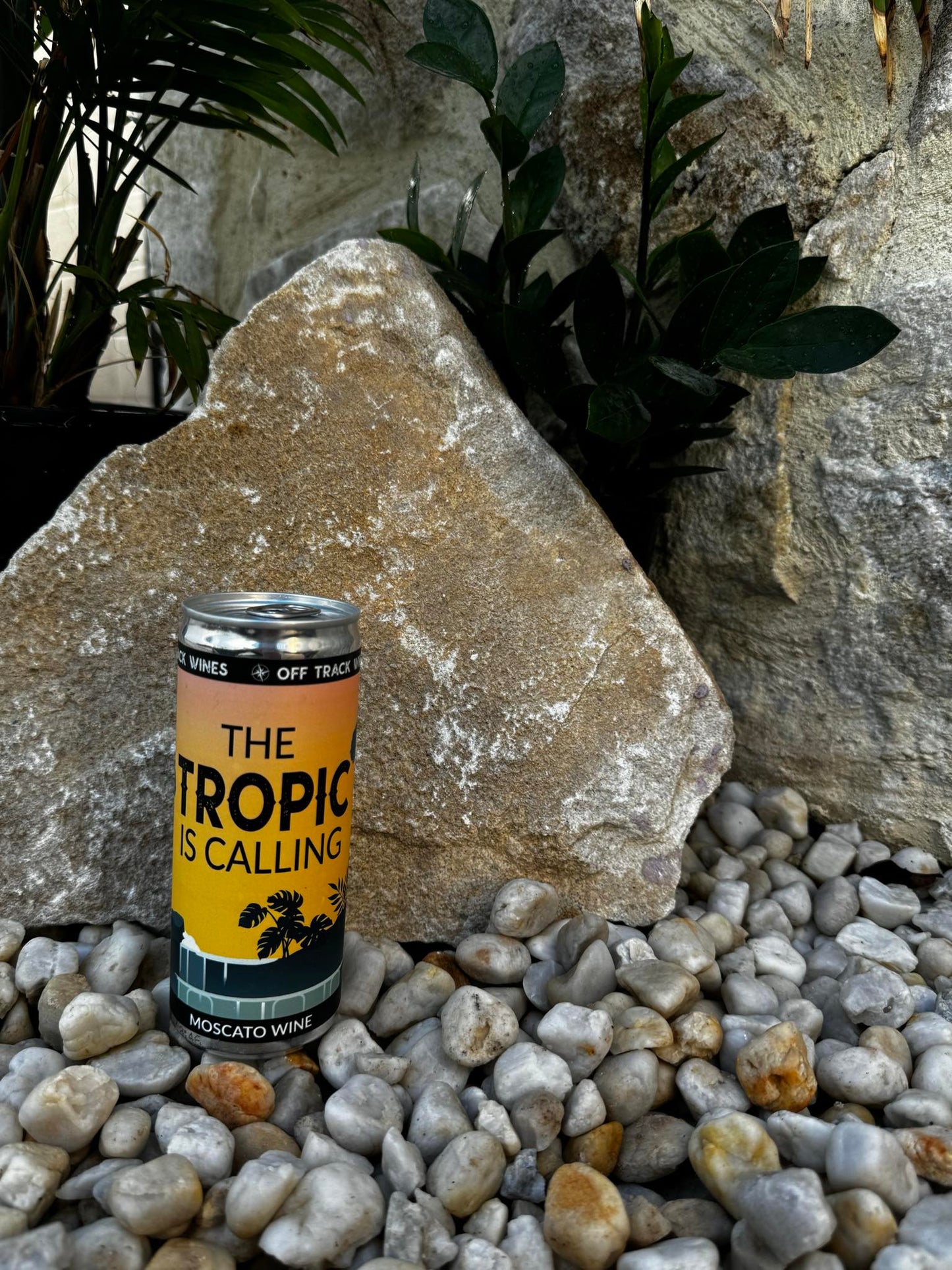 Moscato The Tropic is Calling No. 1 (12-pack)