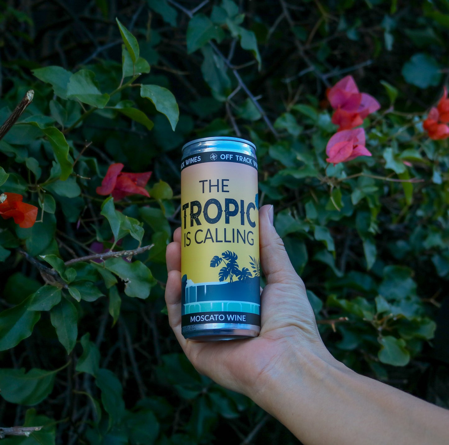 Moscato The Tropic is Calling No. 1 (12-pack)